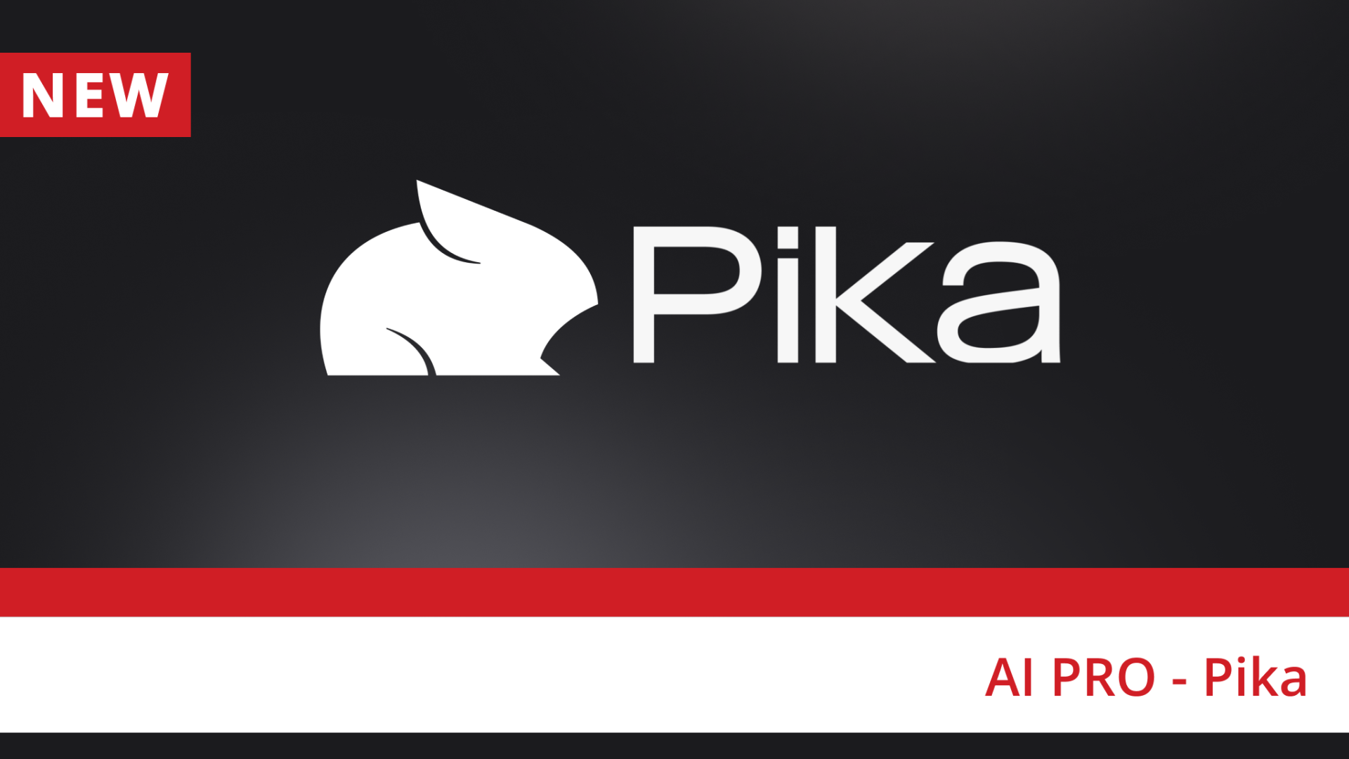 קורס AI PRO - Pika