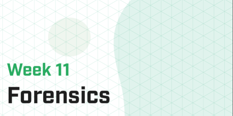 Week 11 - Forensics I (Master)