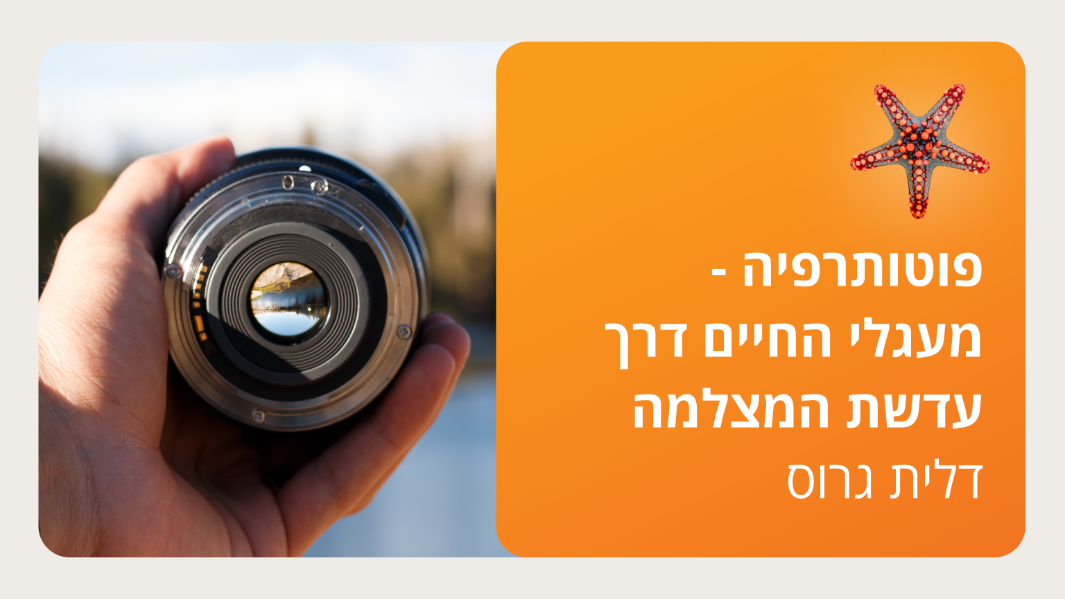 פוטותרפיה - מעגלי החיים דרך עדשת המצלמה