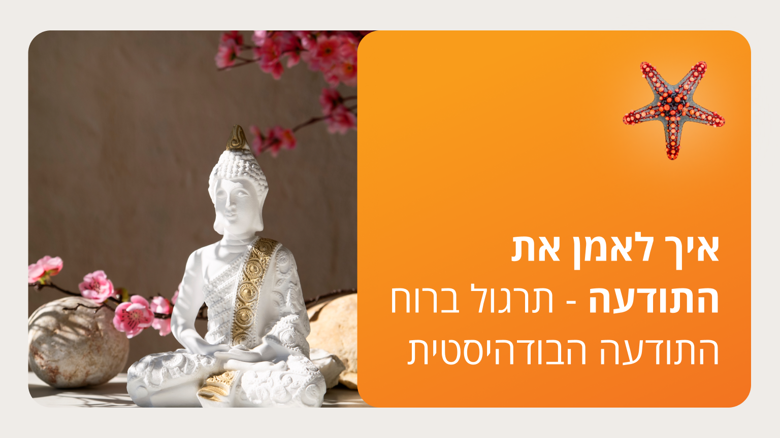 איך לאמן את התודעה - תרגול ברוח התודעה הבודהיסטית - סמסטר ג'