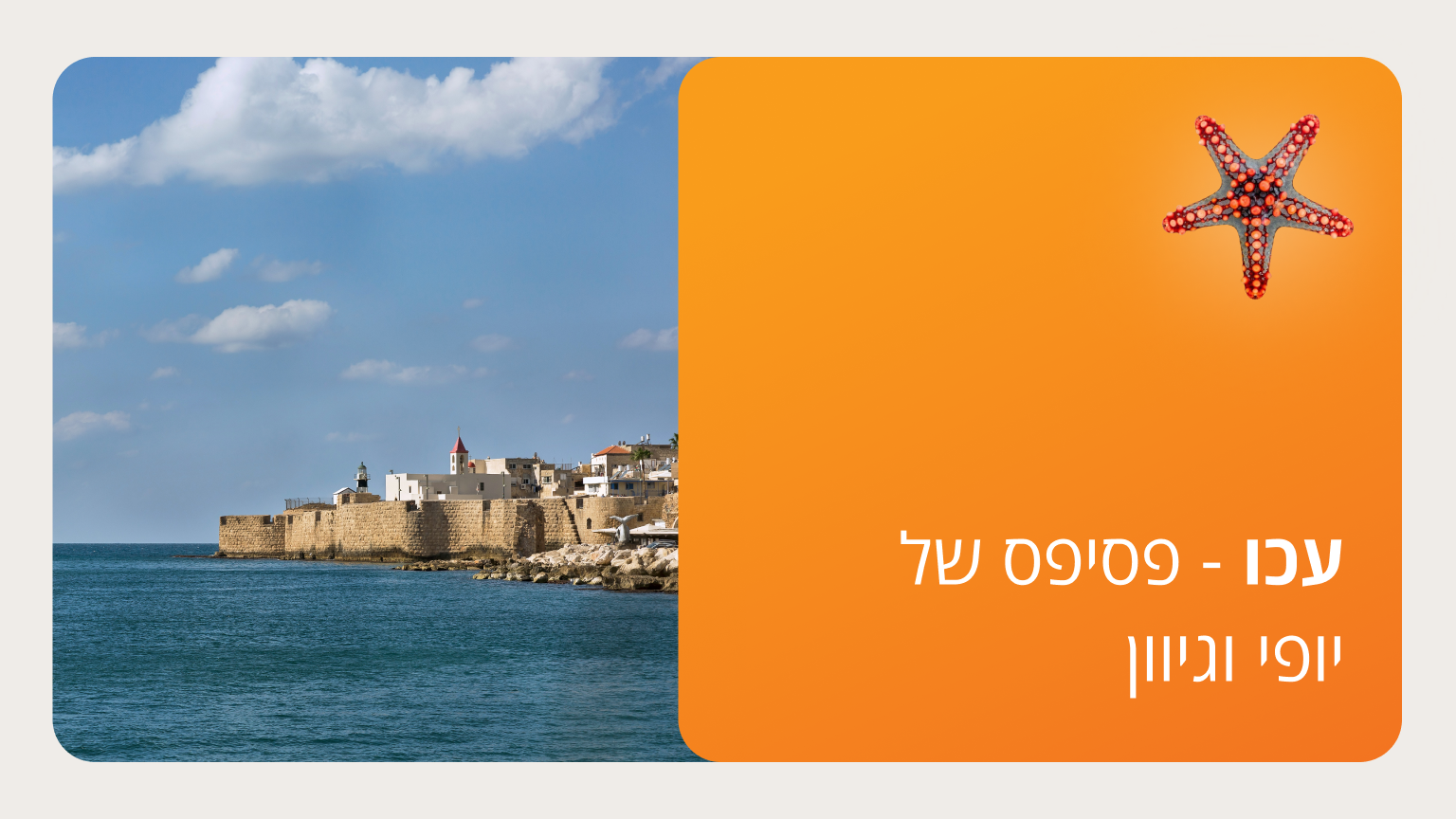 עכו - פסיפס של יופי וגיוון - סמסטר ג'