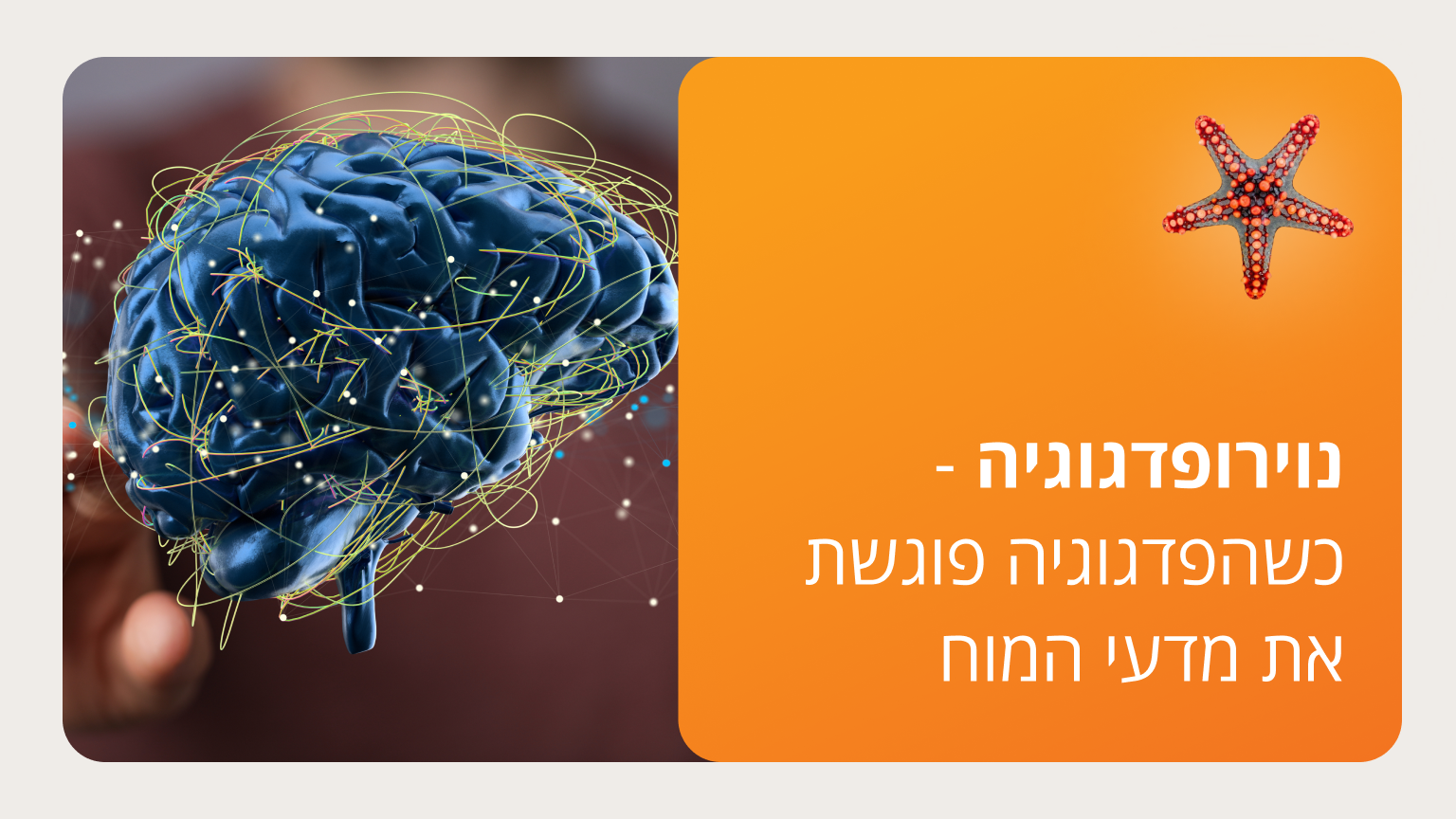 נוירופדגוגיה - כשהפדגוגיה פוגשת את מדעי המוח - סמסטר ד'