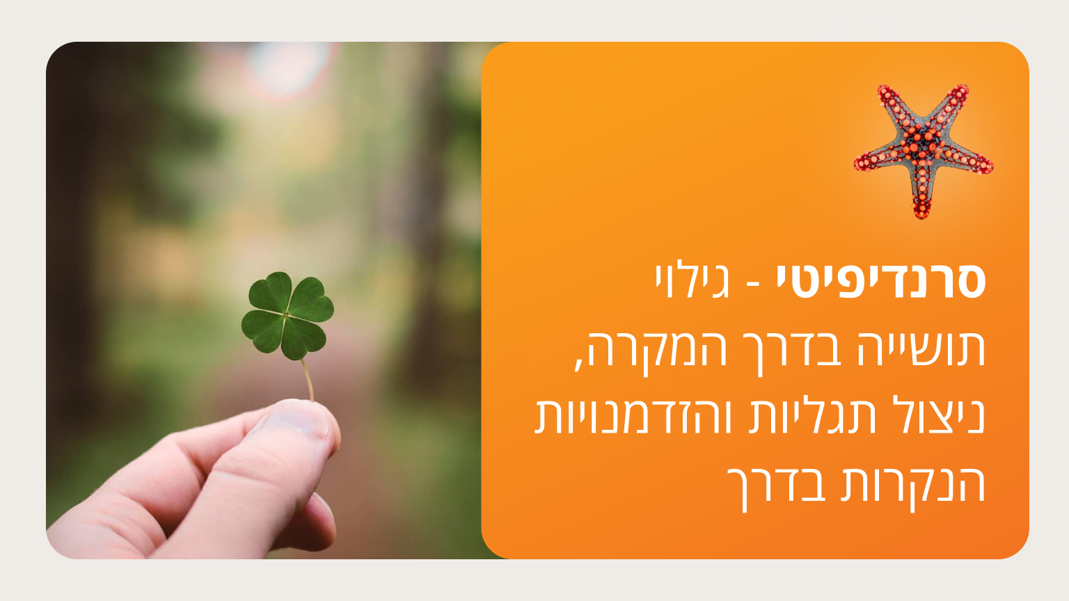 סרנדיפיטי - גילוי תושייה בדרך המקרה - סמסטר ד'