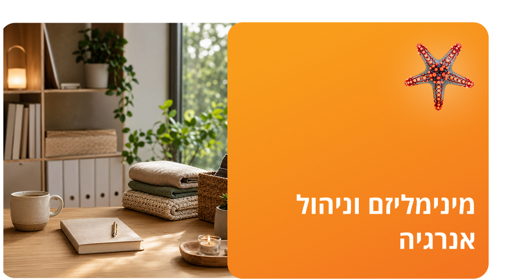 מינימליזם וניהול אנרגיה