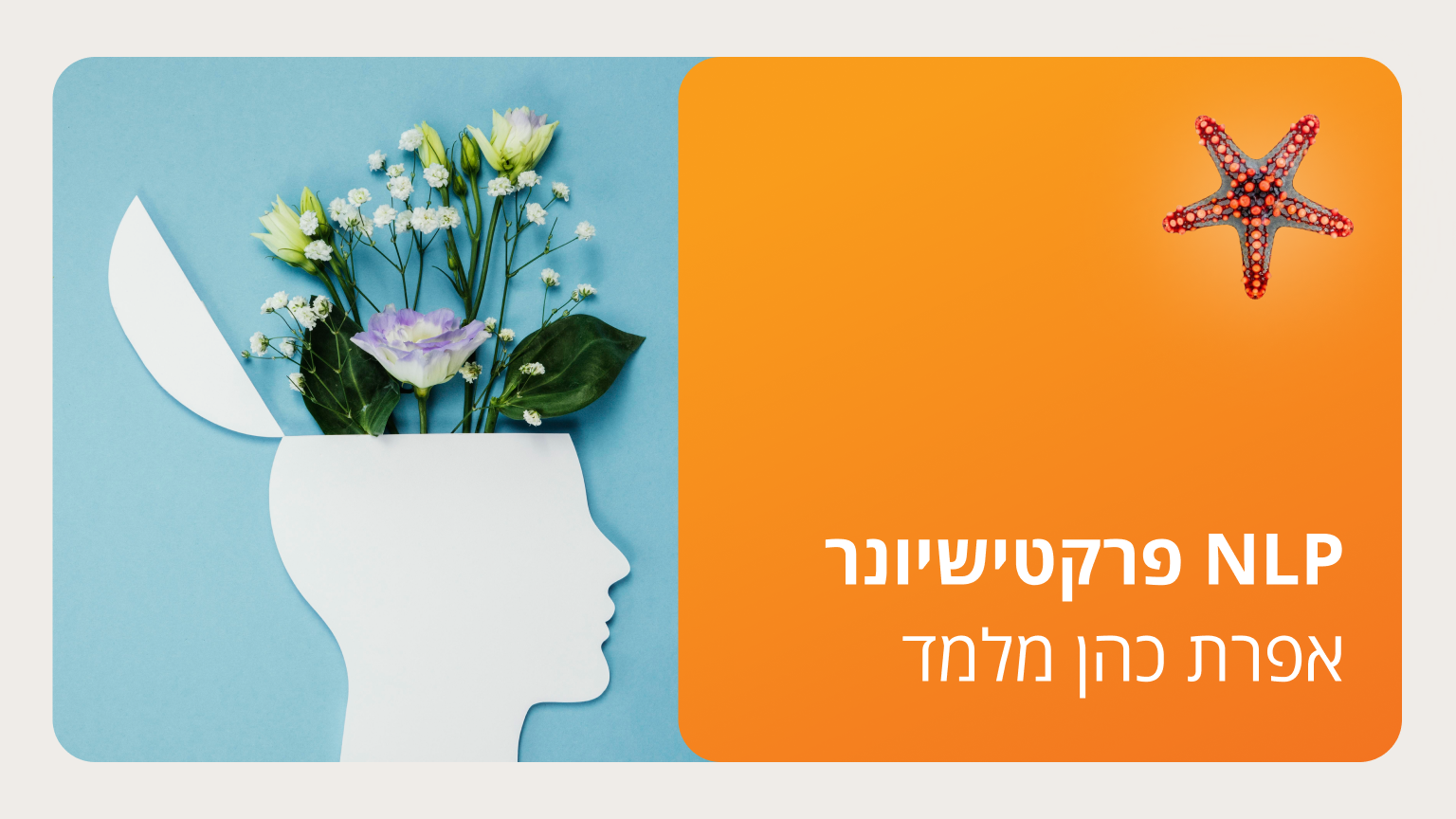 NLP פרקטישינר, מודיעין
